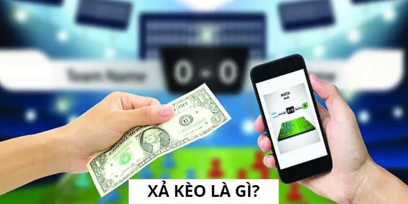 Công thức thu hồi vốn khi chơi cá độ như thế nào?