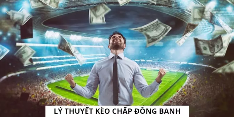 Một số lý thuyết cơ bản bet thủ cần nắm trước khi cá độ