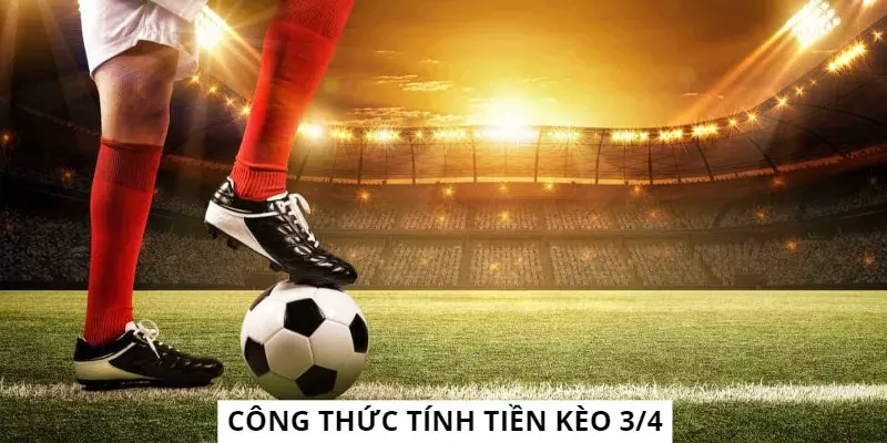 Học hỏi công thức tính tiền cược nửa một đơn giản