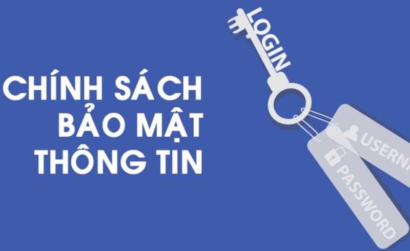 Tìm hiểu chính sách 8Xbet